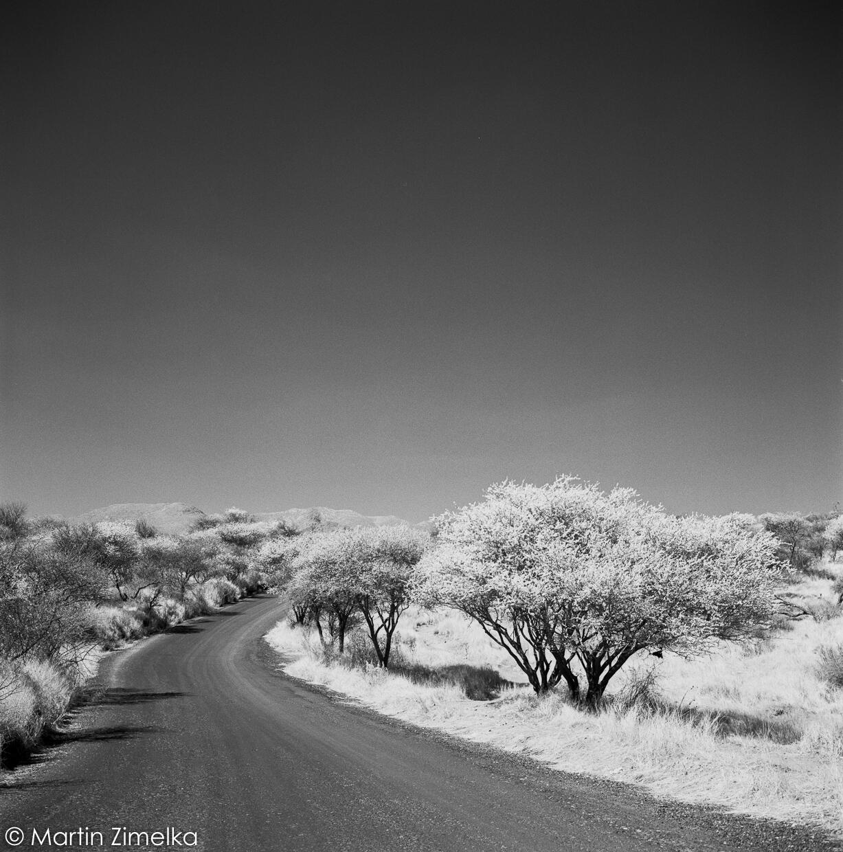 Rollei Infrared 120