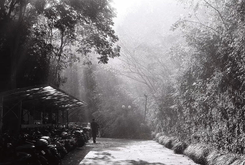 Lucky SHD100 135-36