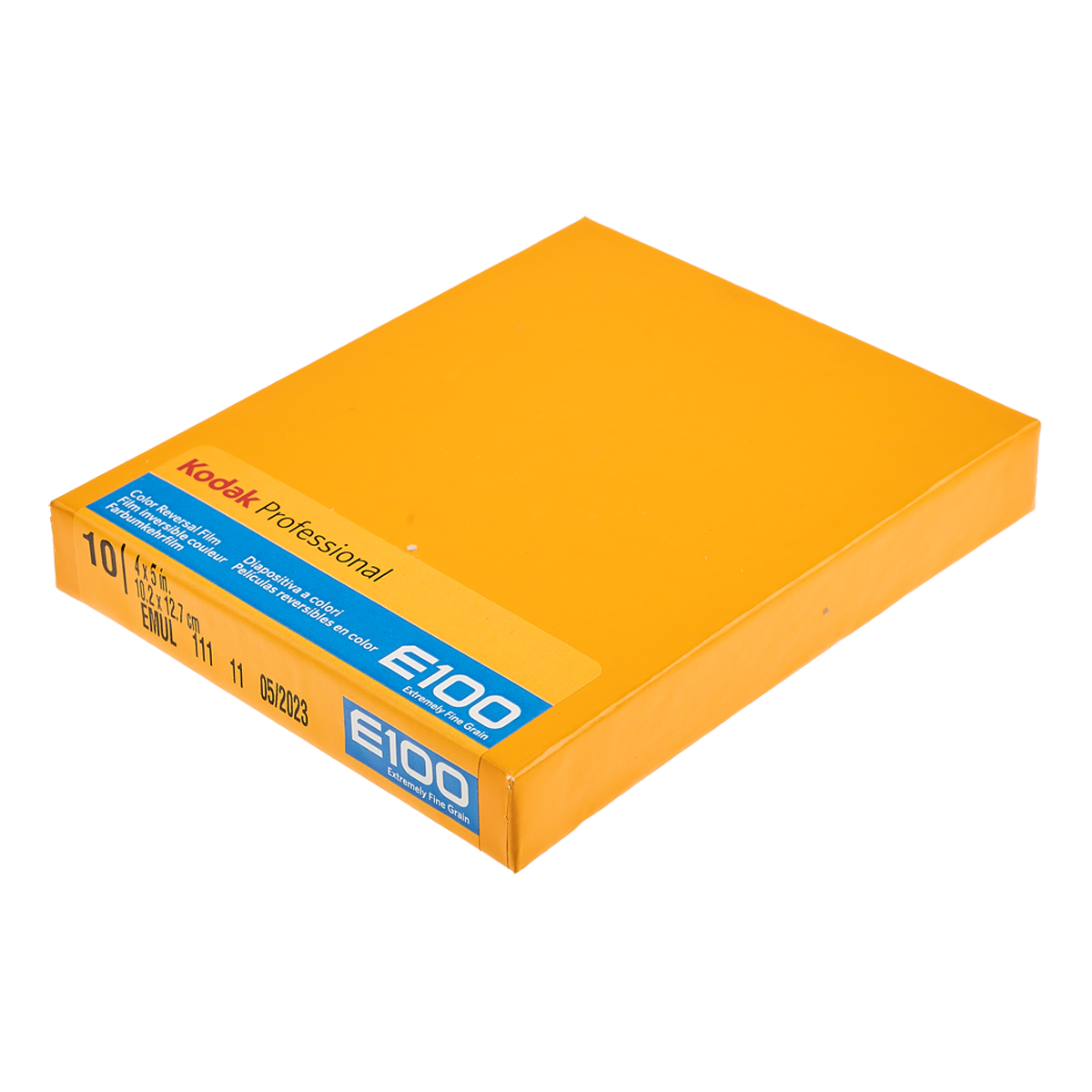 KODAK Ektachrome E100 4x5" 10 blad