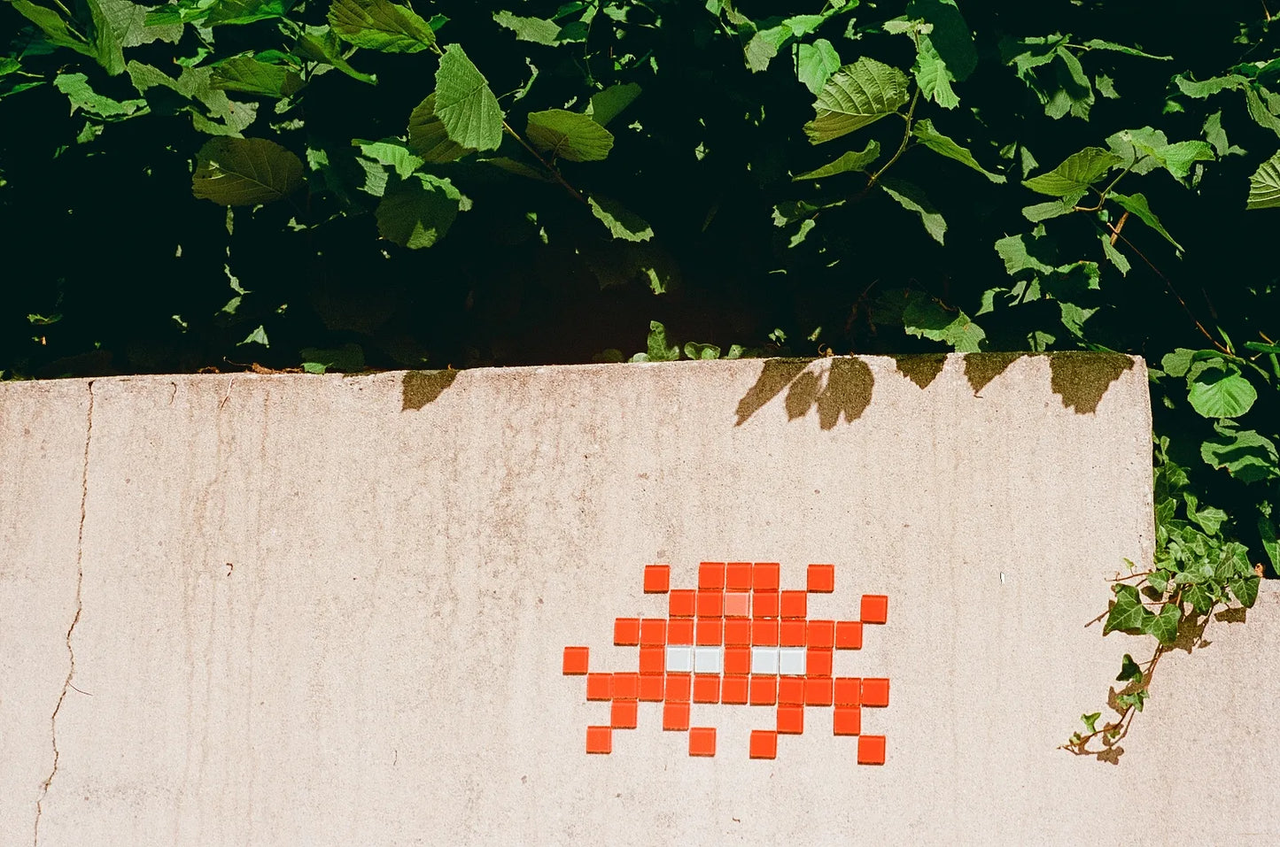 Washi Film X 100 135-36