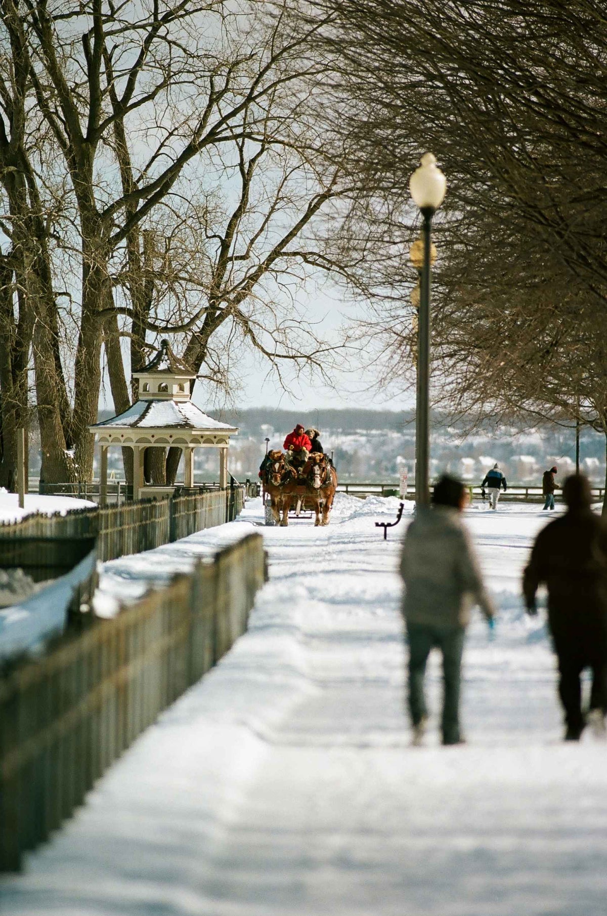 Kodak Ektacolor Pro 160 120