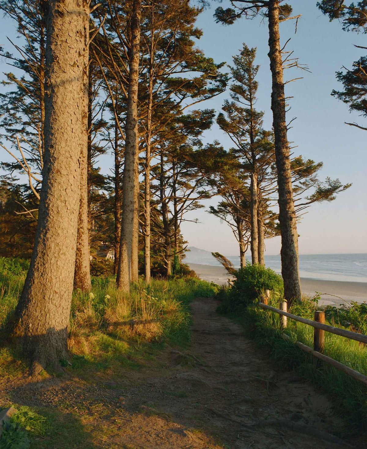 Kodak Ektacolor Pro 800 120