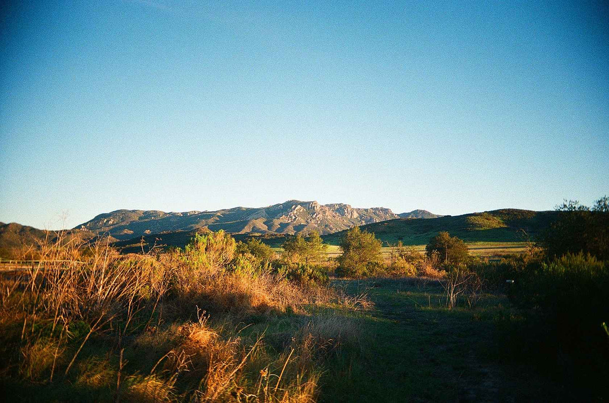 Kodak UltraMax 400 135 36x3 verdipakke (Eastman)